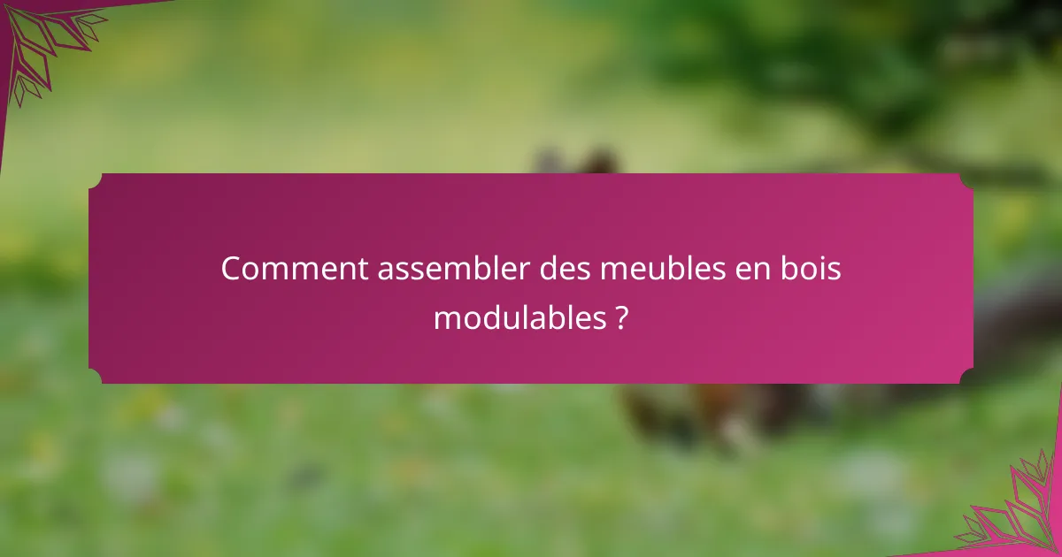 Comment assembler des meubles en bois modulables ?