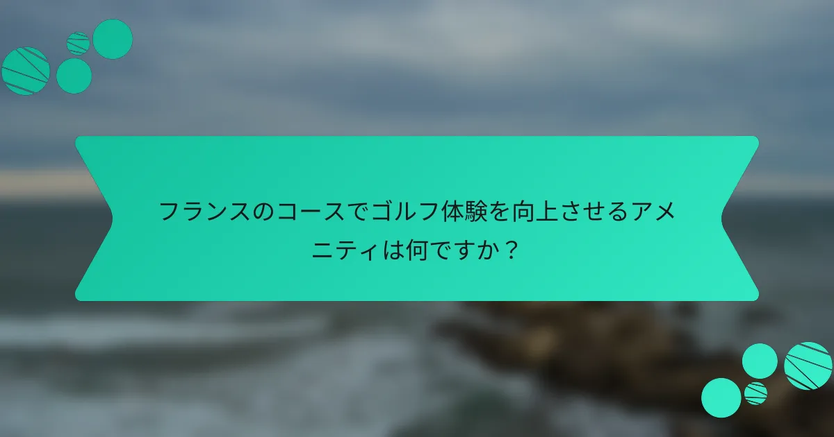 フランスのコースでゴルフ体験を向上させるアメニティは何ですか?