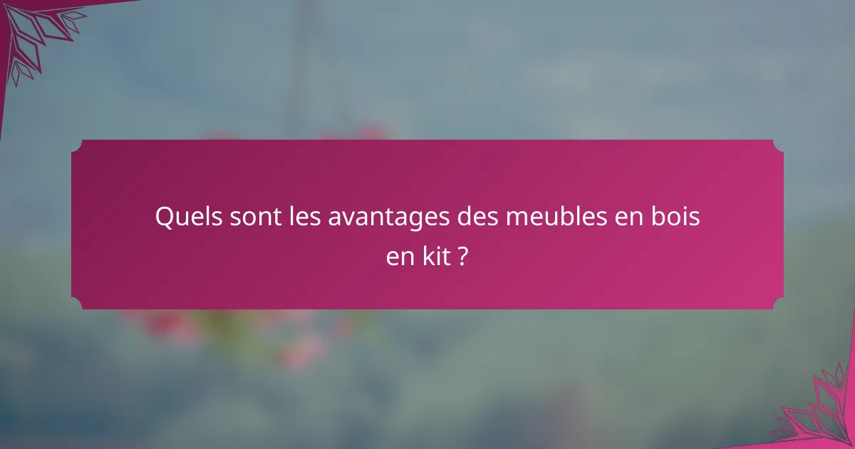 Quels sont les avantages des meubles en bois en kit ?